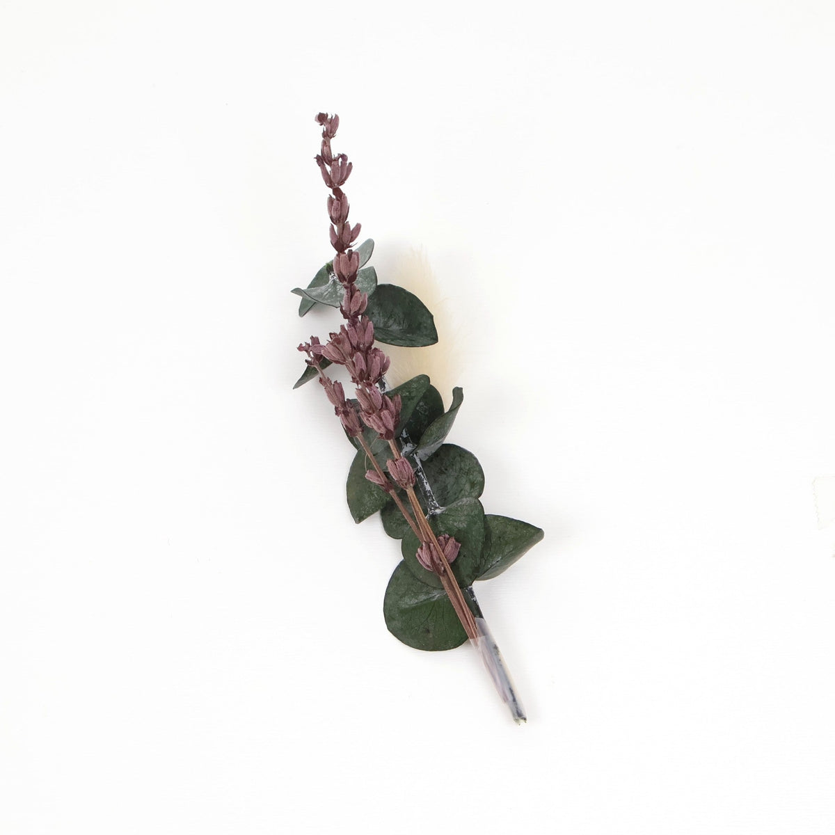 Dried floral sprig with greenery and lavender-toned buds
