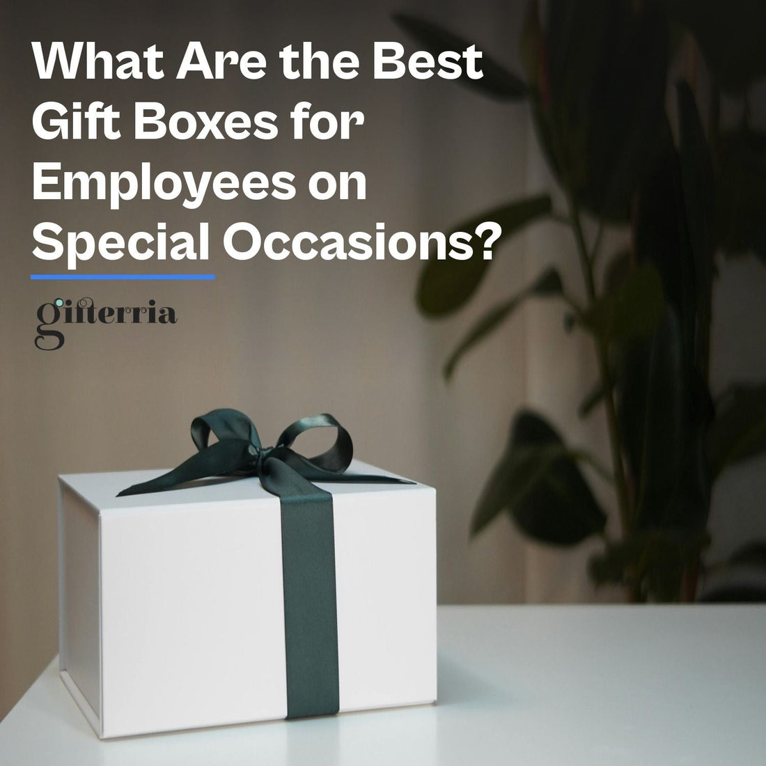 What Are the Best Gift Boxes for Employees on Special Occasions? - Gifterria US