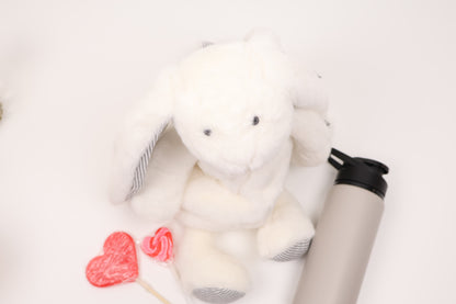 Cozy Plush Backpack Gift Set for Kids with an Insulated Bottle and Treats