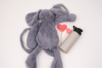 Cozy Plush Backpack Gift Set for Kids with an Insulated Bottle and Treats