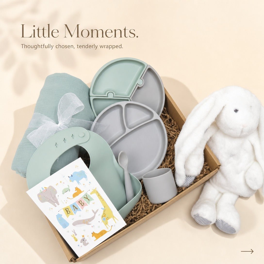 Baby Feeding and Comfort Gift Set - Gifterria US - Gift Set