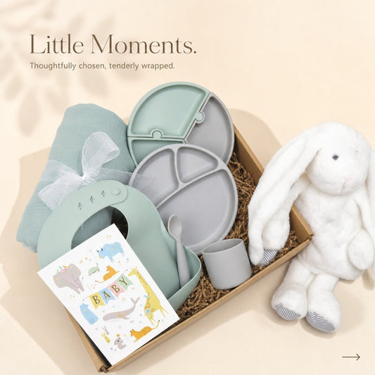 Baby Feeding and Comfort Gift Set - Gifterria US - Gift Set