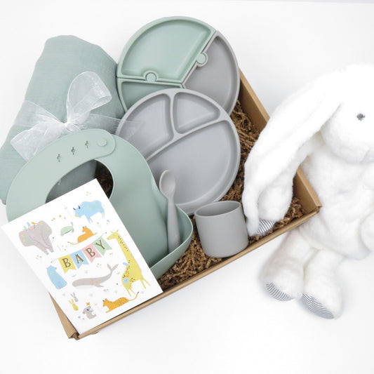 Baby Feeding and Comfort Gift Set - Gifterria US - Gift Set
