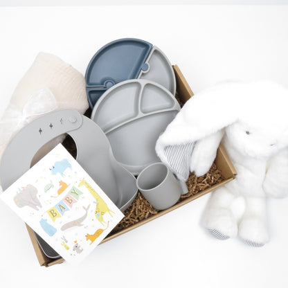 Baby Feeding and Comfort Gift Set - Gifterria US - Gift Set